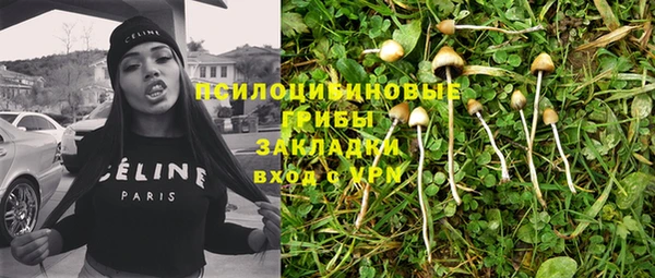 PSILOCYBIN Костерёво