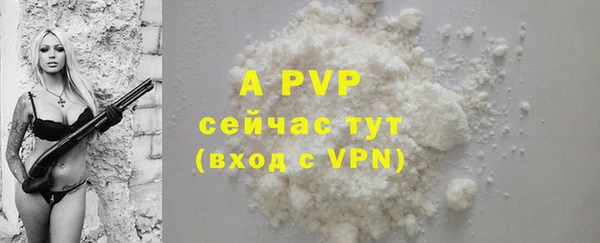 PSILOCYBIN Костерёво