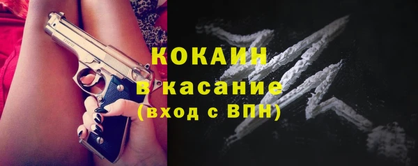 гашик Корсаков