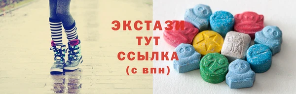 стаф Ельня