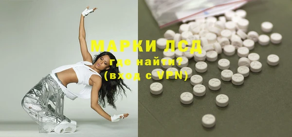 стаф Ельня