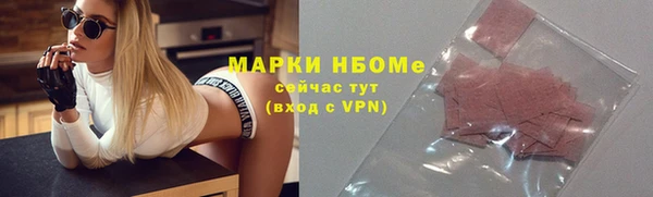 стаф Ельня